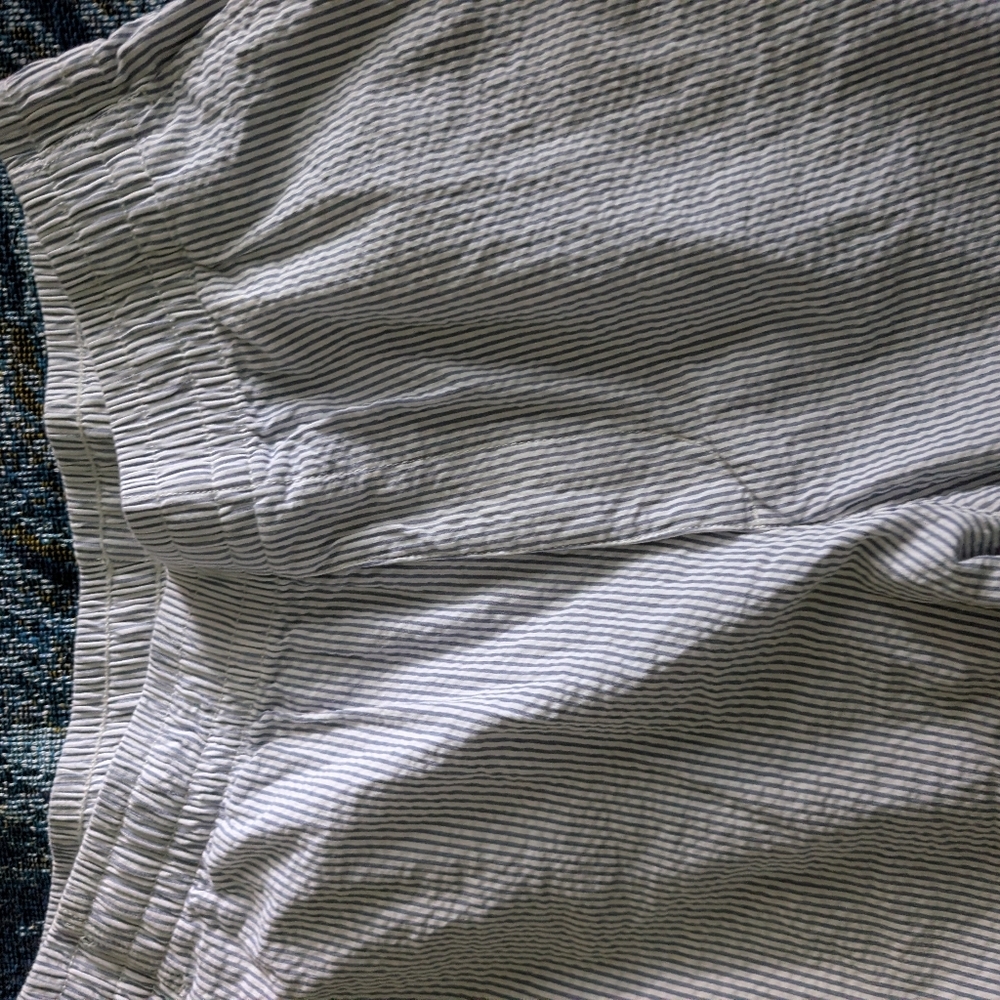 Uniqlo Blue and White Seersucker Shorts